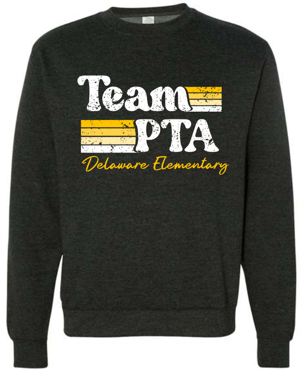 Delaware TEAM PTA