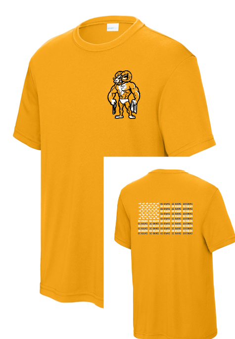 RAMS Swim Club FLAG Tee Performance Type (Dri-Fit) (Adult and Youth Sizes)